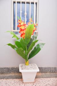 Fotografie z fotogalerie ubytování UAL Hotel v destinaci Kampala
