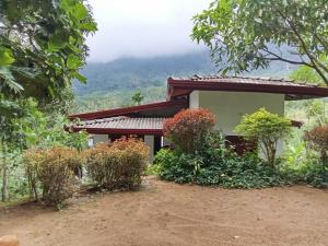 a house with a view of a mountain at Omashi sinharaja holiday resort in Rakwana