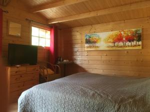 a bedroom with a bed and a flat screen tv at Le Mas de la Pinède in Bollène