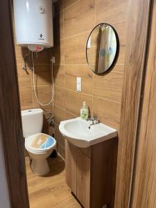 a bathroom with a toilet and a sink and a mirror at Skorzęcin Przytulny Zakątek in Skorzęcin