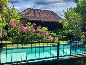 Villa Nextdoor Nature Yogyakarta内部或周边的泳池