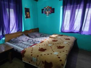 Gallery image of Alanis in Kasol +51 photos