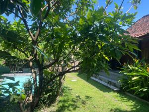 Villa Nextdoor Nature Yogyakarta外面的花园