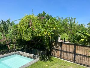 Villa Nextdoor Nature Yogyakarta外面的花园