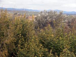 Paesaggio naturale nelle vicinanze dell'affittacamere