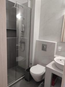 a bathroom with a shower and a toilet and a sink at Cosy studio 2 in Stoupa in Stoupa
