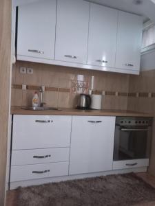 Η κουζίνα ή μικρή κουζίνα στο Apartman Rada 2 +4 φωτογραφίες