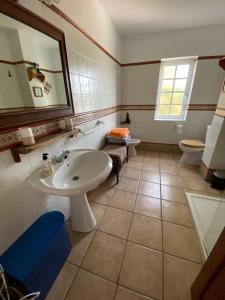 un bagno con lavandino, WC e specchio di El Paraíso a Candelaria