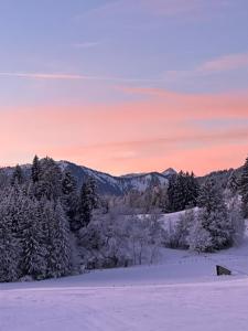 Příroda nedaleko apartmánu + 19 fotografií