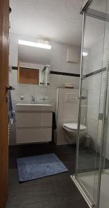 a bathroom with a toilet and a sink and a shower at Helvetia 2005 Sr 2-ZW 2 Stock in Lenzerheide