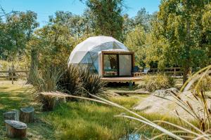 a small glass dome tent in a field at Don Aniceto Lodges & Glamping in Luján