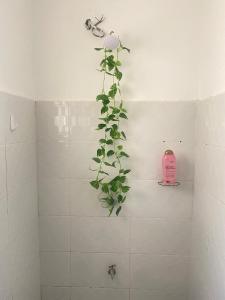 ディアニ・ビーチにあるWendo'sの浴室壁の植物