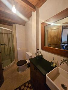 a bathroom with a toilet and a sink and a mirror at La Casa de Sofía in Navaconcejo