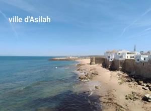 Blick auf einen Strand mit weißen Gebäuden und dem Meer in der Unterkunft Riad of Serenity Briech in Asilah