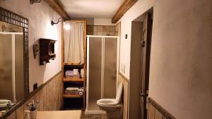 a small bathroom with a toilet and a shower at Baita Compet in Vetriola +13 photos