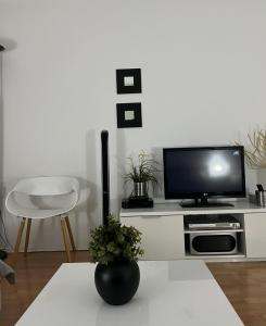 TV a/nebo společenská místnost v ubytování ARSS Apartment Skopje Main Square