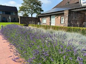 Vrt pred nastanitvijo vakantiewoning Gulp bij Het Plateau Heijenrath + 7 fotografij