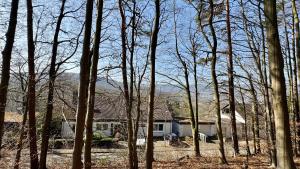 a house in the middle of a forest of trees at Heaven Homes - Traumhafter Ausblick am Wald in Bad Driburg