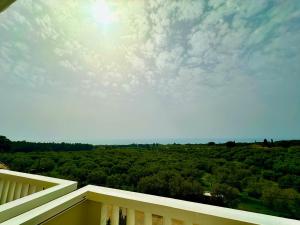 Rõdu või terrass majutusasutuses Orizontes View Hotel