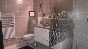 a bathroom with a toilet and a sink and a shower at Suite place de l'Etoile in Strasbourg