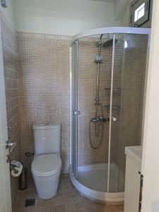 a bathroom with a toilet and a shower at Sunset at Cape Sounio in Sounio