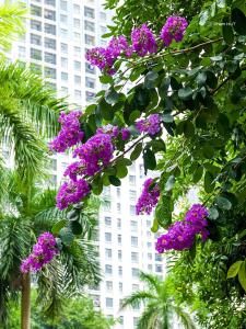 a tree with purple flowers in front of a tall building at SP Sky OASIS 27 06 QuynhDao HomeStay in Kim Quan