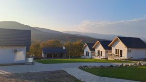 a row of houses with mountains in the background at Complex Turistic Padurea Mare in Bălţăteşti