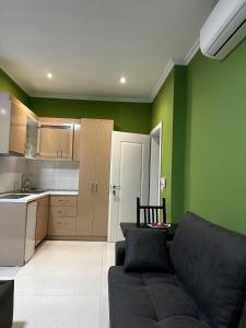 Kuchyň nebo kuchyňský kout v ubytování Hotel Erta