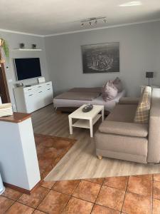 a living room with a couch and a tv at Spreewald-Ferienwohnung Jahn in Radensdorf