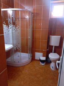une salle de bains avec douche et toilettes dans l'établissement Garsoniera, à Ocniţa