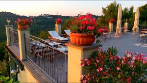 a balcony with flowers in a pot on a fence at Arpaderba B&B in Livorno
