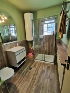 a bathroom with a shower and a sink at Sefira Homes G in Keszthely