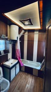 HB Freedom group of Houseboats的一间浴室