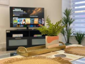 a plant sitting on a table in a living room at Town Centre Two-Bedroom in Swindon