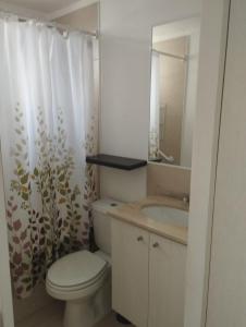 a bathroom with a toilet and a sink and a mirror at Cumbres de reñaca in Viña del Mar
