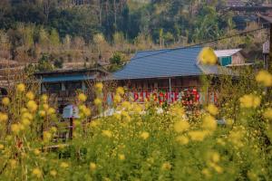 Zahrada ubytování Mường Hoa Local House