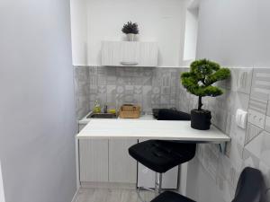 Köök või kööginurk majutusasutuses Mitić Apartmani 1