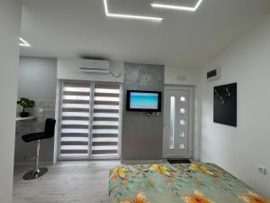 TV a/nebo společenská místnost v ubytování Mitić Apartmani 1
