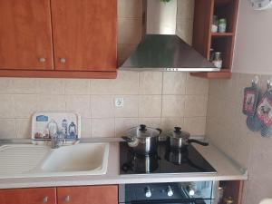 Nhà bếp/bếp nhỏ tại Gerakini 2BR Apt with Shared Pool