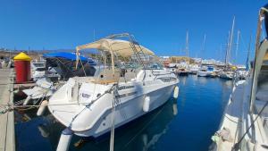 a group of boats are docked in a harbor at Beatrix boat in San Miguel de Abona