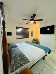 a bedroom with a bed with a ceiling fan at Fontains Vacation House in Palm-Eagle Beach +10 photos