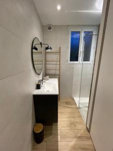 een badkamer met een wastafel en een spiegel bij Grande maison dans les Pyrénées in Argelès-Gazost