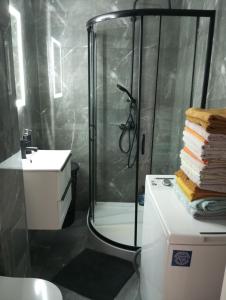 a bathroom with a shower and a toilet and a sink at Apartament Chopina 17 in Włocławek