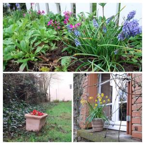 Zahrada ubytování Gîte La Lisière, en Brocéliande