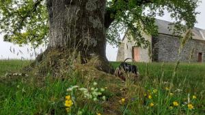 Fotografie z fotogalerie ubytování Gîte La Lisière, en Brocéliande v destinaci Néant-sur-Yvel