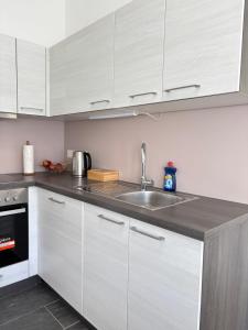 Kuchyň nebo kuchyňský kout v ubytování Apartment Reiger