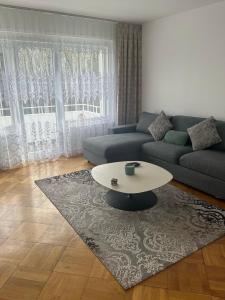 uma sala de estar com um sofá e uma mesa de centro em Séjour calme près du Léman em Mies