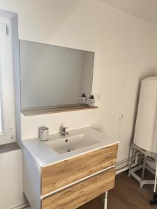 a bathroom with a white sink and a mirror at Studio Brownie in Aulnoy