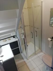 un bagno con doccia e lavandino di Maison entre Seine et forêt a Aizier Altre 32 foto