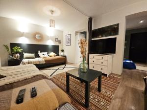 a living room with two beds and a flat screen tv at Dodo Guest House in Brussels